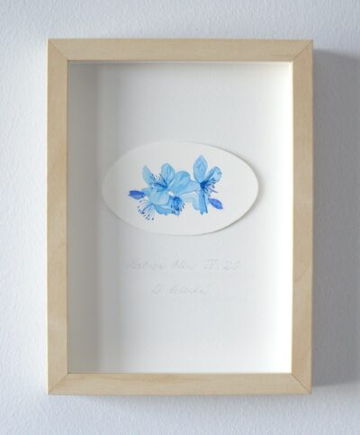 Herbier Bleu I. - VIII.