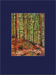V lese 17,5x23 cm